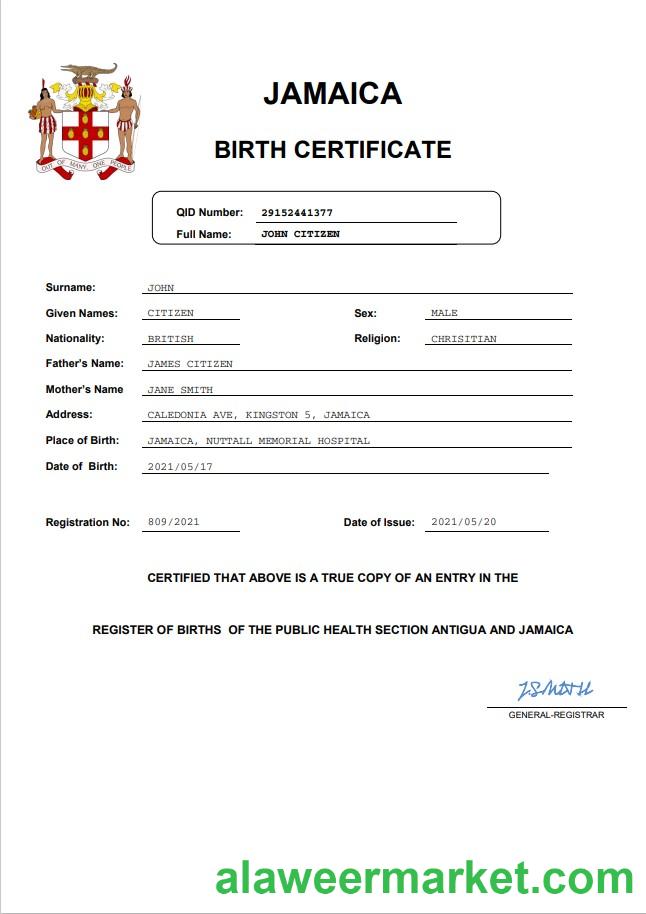 Jamaica vital record birth certificate Word and PDF template
